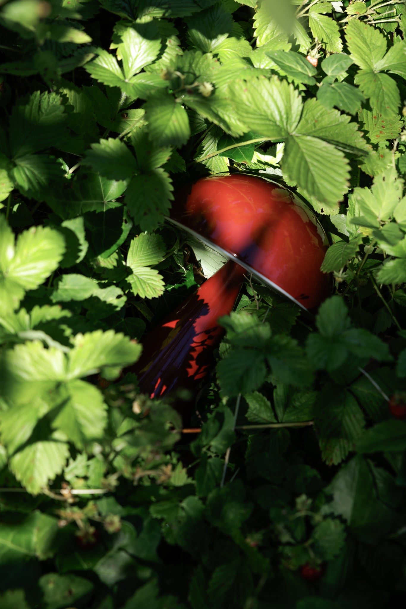 Mush lampe portable rouge