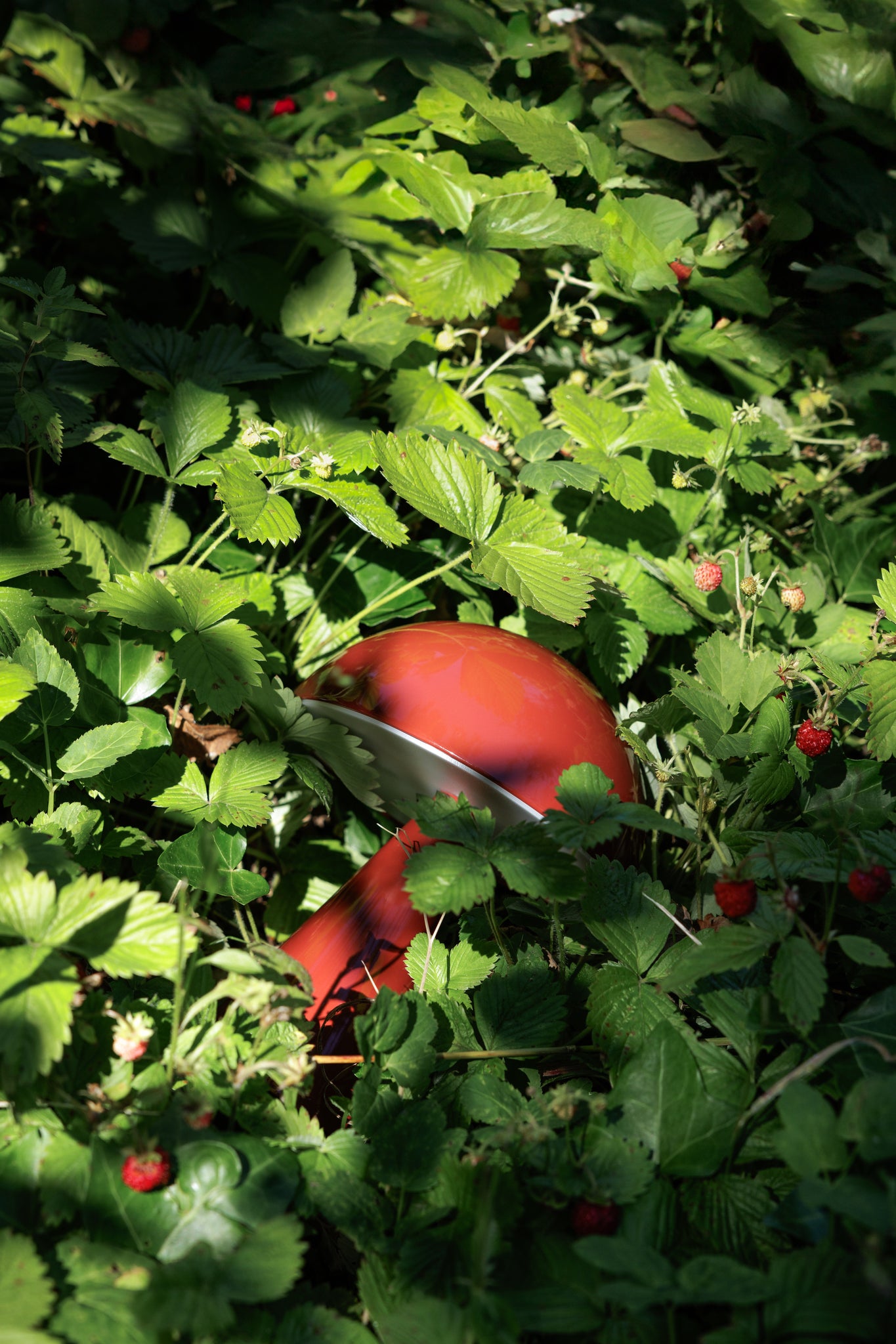 Mush lampe portable rouge