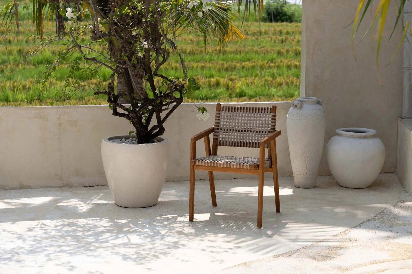 La chaise de salle à manger Trikeri