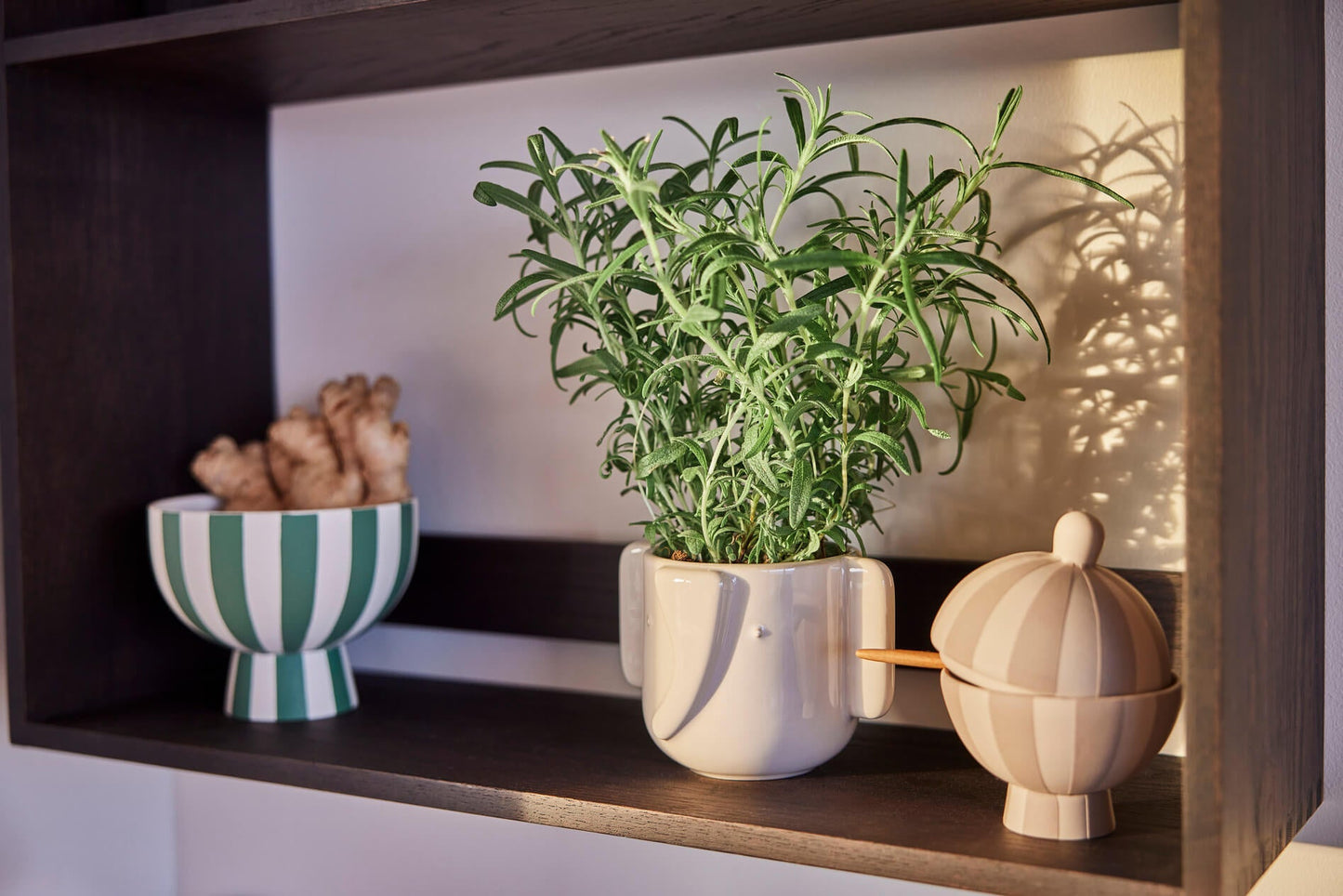 Sucrier-Bonbonnière Toppu